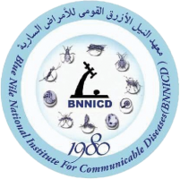 Blue Nile National Institute